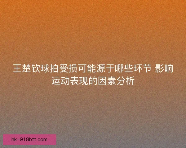 王楚钦球拍受损可能源于哪些环节 影响运动表现的因素分析